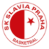 https://img.syyysd.com/img/basketball/team/477c0e77a7fa837b5d0f90422b9b592c.png