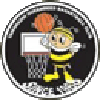 https://img.syyysd.com/img/basketball/team/e416830f4083698237c559f8988ddb25.png