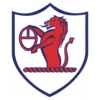 https://img.syyysd.com/img/football/team/11fb72f7b5eacfc881ee11bac75871fa.png