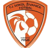 https://img.syyysd.com/img/football/team/5477d301041e00b2de35d5eeea2fabb4.png