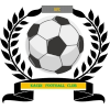 https://img.syyysd.com/img/football/team/6dc6d59af2f0962597b412473a6708ee.png