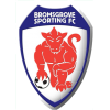 https://img.syyysd.com/img/football/team/7537ed874ffe46890fcf9fc9547e0ba5.png