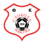 https://img.syyysd.com/img/football/team/b71b7bfab3d42c691e953977143504e5.png