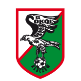 https://img.syyysd.com/img/football/team/e6a8908dd206e2ea02d9803c82c60bba.png